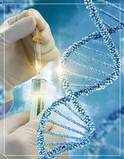 DNA Testing Near Me in Miami, FL DNA Testing Near Me in Miami, FL
